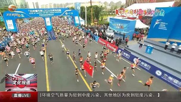 湛的个人技