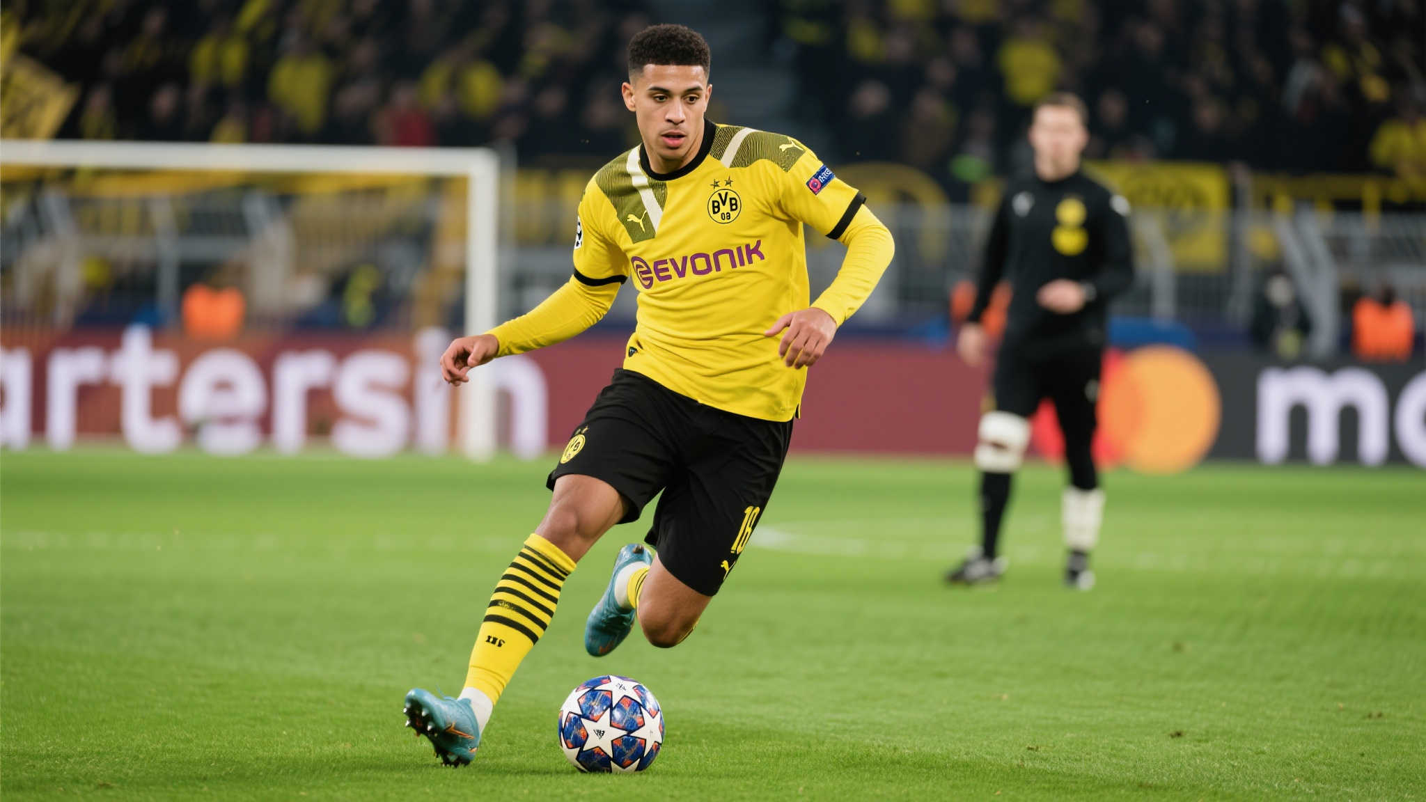 这一特质 这一特质