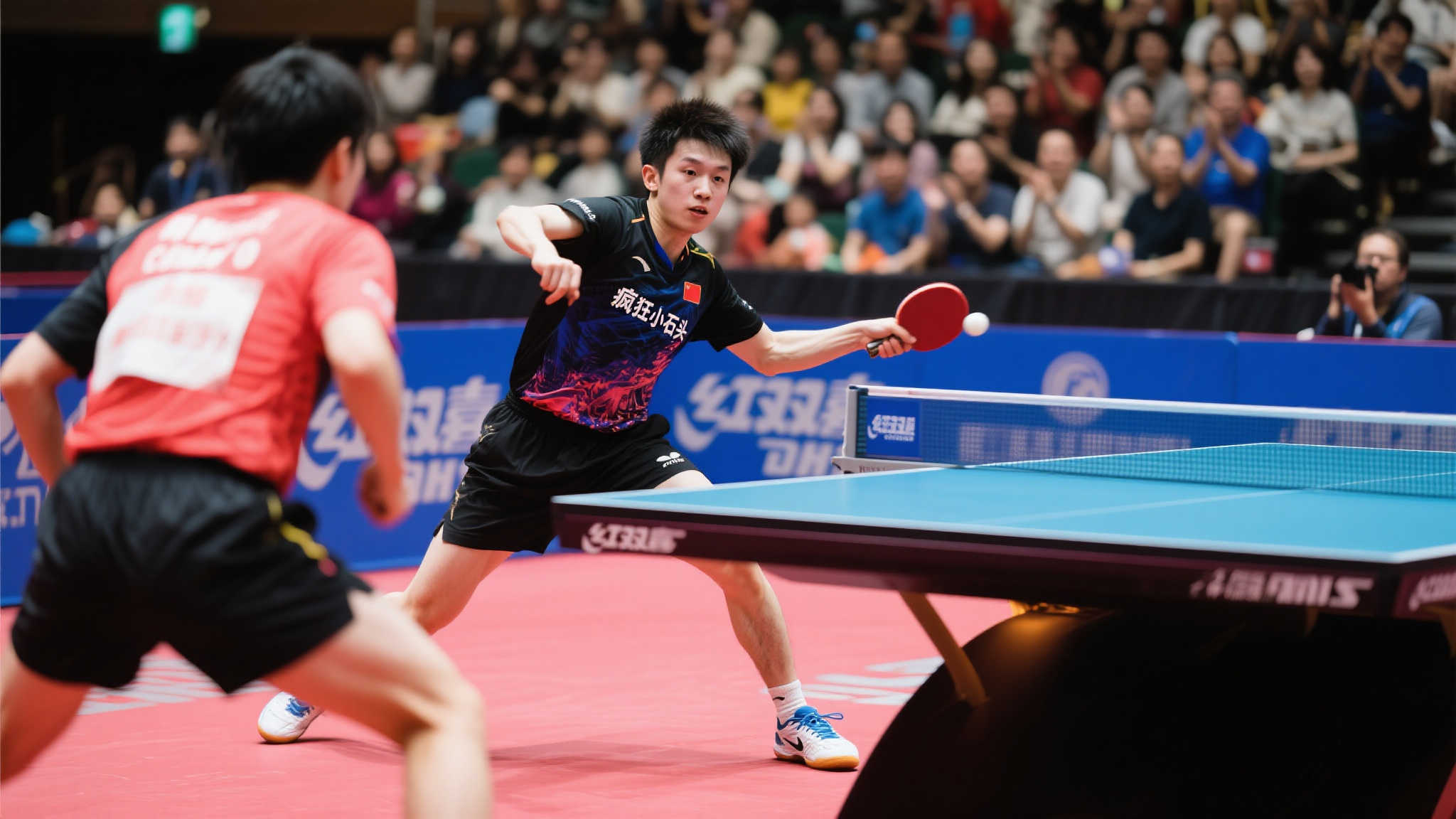 知的可能性 知的可能性